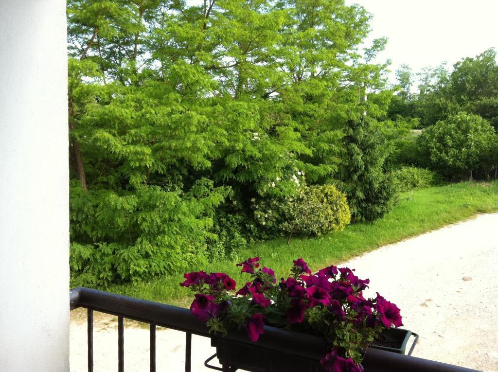Agriturismo Licensi Del Bresa Villa Monzambano Rum bild